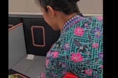 曼聯(lián)備戰(zhàn)季前賽飛往馬來西亞，連戰(zhàn)商業(yè)賽預(yù)計收入千萬美元