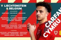 威爾士國家隊名單公布，布倫南-約翰遜、哈里-威爾遜和丹尼爾-詹姆斯入選