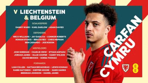 威爾士隊(duì)新一期名單公布：布倫南領(lǐng)銜，丹尼爾-詹姆斯、本-戴維斯入選