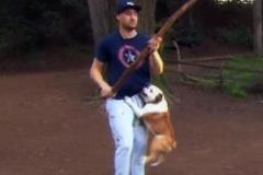 Rocco的另一半：重溫我們一起擼過的那些年