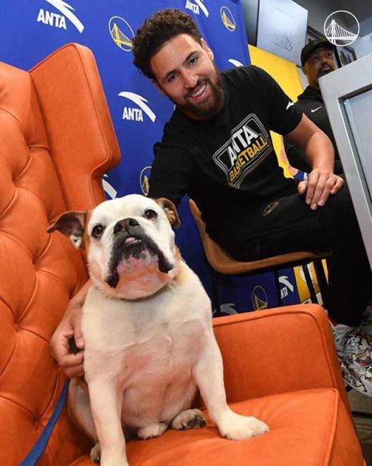 勇士官方：緬懷克萊愛犬Rocco，永遠(yuǎn)是勇士家族的一份子