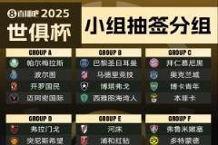 世俱杯參賽隊伍國家聯(lián)賽分布：20國聯(lián)賽球隊參與 巴西4隊居首