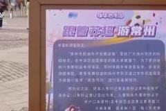 央視直播蘇超賽事：18萬球迷在線觀看，熱門梗引爆網(wǎng)絡(luò)