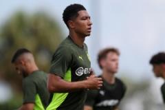 哈曼：小貝林的姓氏讓多特多花了些錢，但球隊擅長培養(yǎng)年輕球員