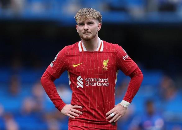 德天空：勒沃庫森或引入夸安薩或埃利奧特加入維爾茨交易