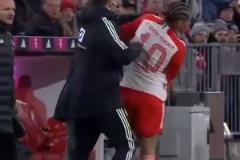 自己甚至能跟自己干起來的！拜仁球迷：我們的薩寶，你都敢惹？