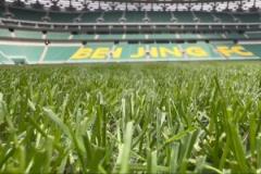 記者重踏工體草坪：146天后再次感受激情澎湃