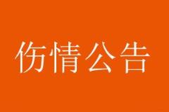 泰山官方：王彤右肩鎖關(guān)節(jié)脫位，預(yù)計(jì)恢復(fù)期6周