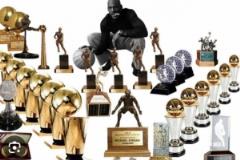 艾弗森展示喬丹職業(yè)生涯獎杯：籃球史上最震撼的照片