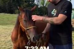 休息日！東契奇體驗了農(nóng)場主生活一日游