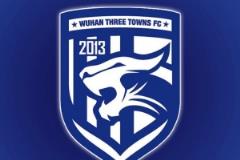 朱藝：武漢三鎮(zhèn)3月面臨三條轉(zhuǎn)會(huì)注冊(cè)禁令