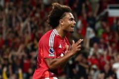 齊爾克澤慶祝動作致敬《被解放的姜戈》，與巴蒂無關