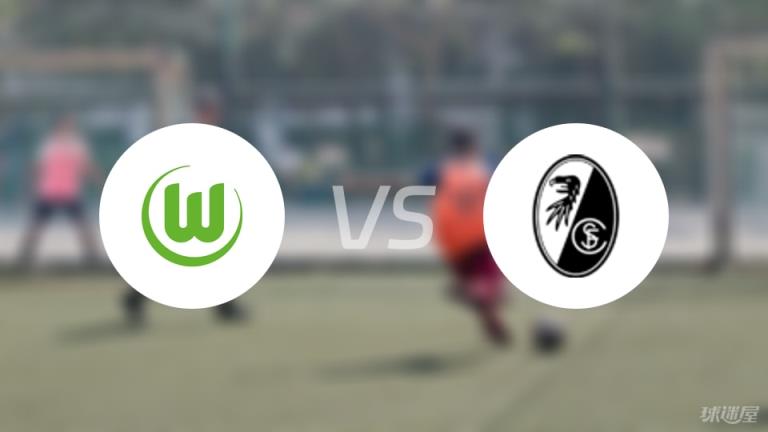 【德甲】沃爾夫斯堡對(duì)陣弗賴堡傷病名單最新（2025年04月26日）