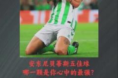 去年他的五佳球還是同一個今年安東尼貝蒂斯五佳球各個精彩！