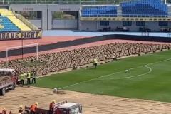 青島西海岸主場草坪首次更換引關(guān)注