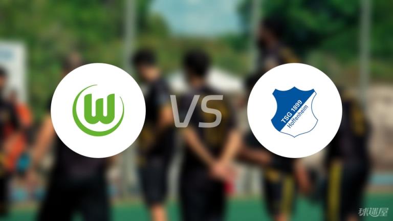 【德甲】沃爾夫斯堡對(duì)陣霍芬海姆首發(fā)陣容名單（2025年05月10日）