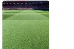 魯本-迪亞斯質(zhì)疑草皮太干，圣徒球場管理員曬照回應(yīng)：持續(xù)澆水保障草地狀態(tài)