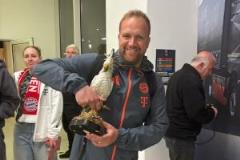 鸚鵡意外加入拜仁隊(duì)列，餐廳老板盼它帶來好運(yùn)