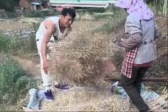 矣進(jìn)宏干農(nóng)活：堅(jiān)持到底，只為當(dāng)初的選擇