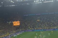 黃黑海洋！球迷視角看此前阿德耶米對(duì)陣?yán)潜?，替補(bǔ)完成梅開(kāi)二度！