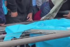 洛里這反應(yīng)太慢了！羅伊斯在洛杉磯德比中一腳任意球絕平