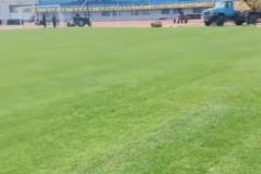 記者：青島西海岸主場草坪更換僅用19天